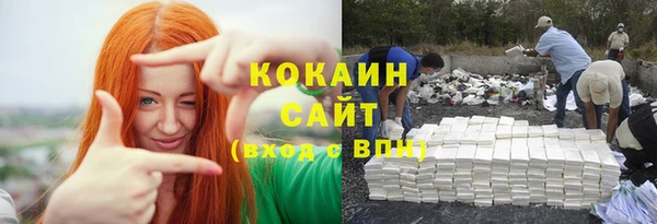 spice Ельня