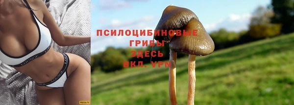 mix Елизово