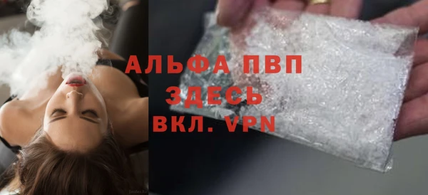 spice Ельня