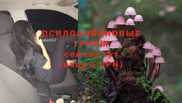 дживик Дмитровск