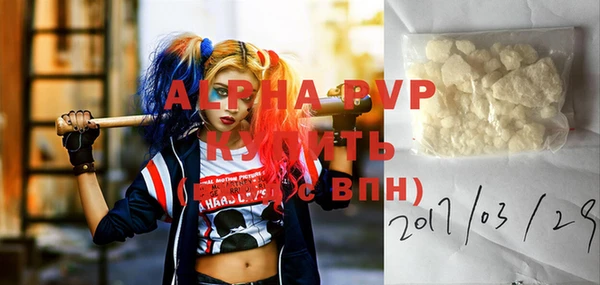 spice Ельня