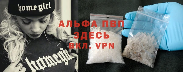 spice Ельня